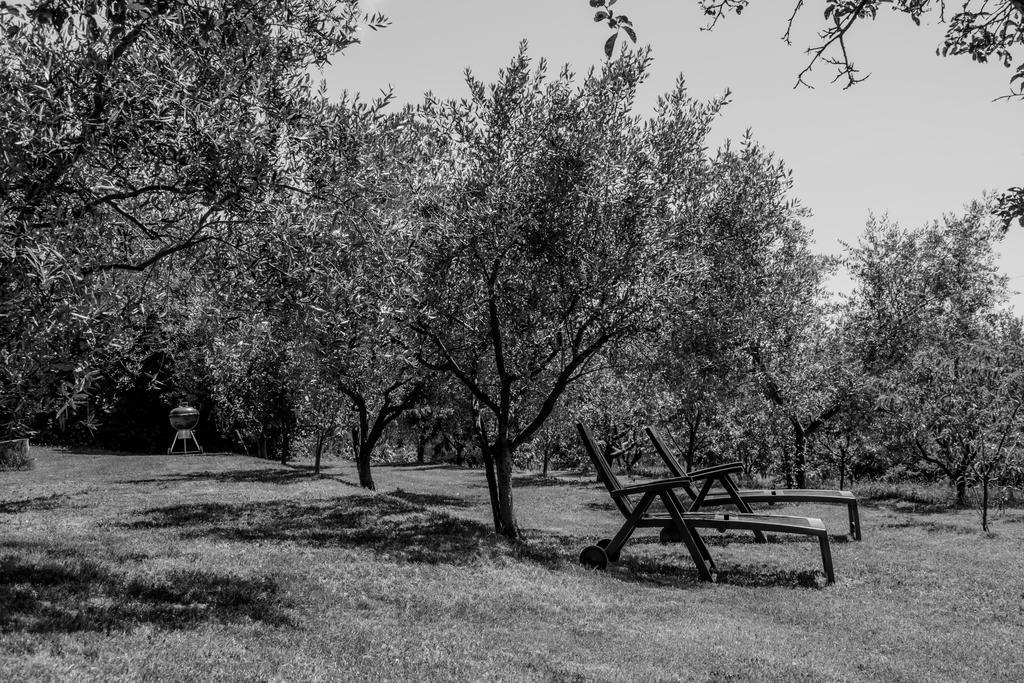 Вілла Terra Del Carso San Pelagio Екстер'єр фото